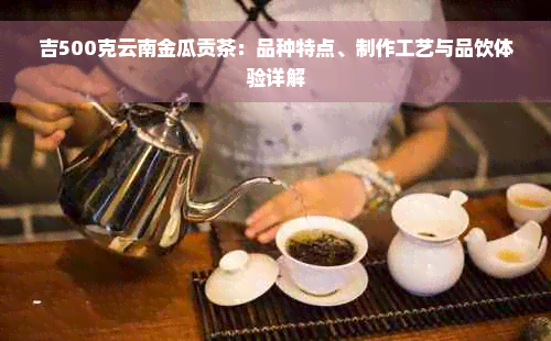 吉500克云南金瓜贡茶：品种特点、制作工艺与品饮体验详解