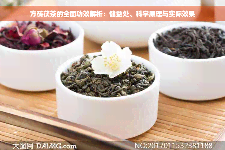 方砖茯茶的全面功效解析：健益处、科学原理与实际效果