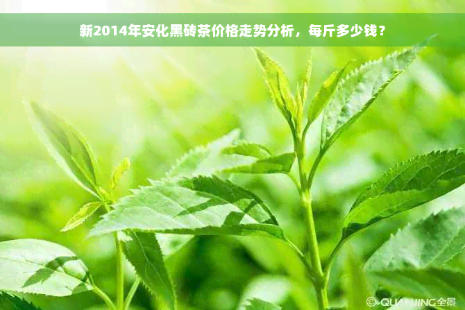 新2014年安化黑砖茶价格走势分析，每斤多少钱？