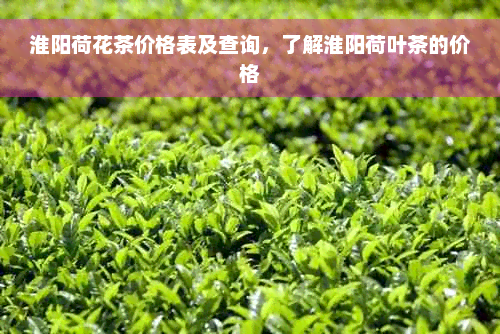 淮阳荷花茶价格表及查询，了解淮阳荷叶茶的价格