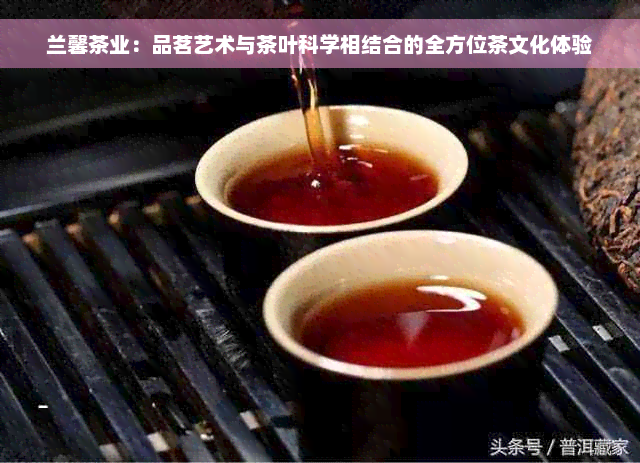 兰馨茶业：品茗艺术与茶叶科学相结合的全方位茶文化体验