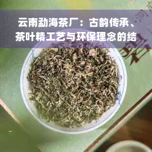 云南勐海茶厂：古韵传承、茶叶精工艺与环保理念的结合