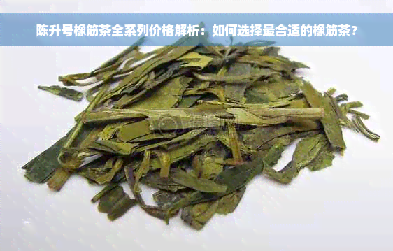 陈升号橡筋茶全系列价格解析：如何选择最合适的橡筋茶？