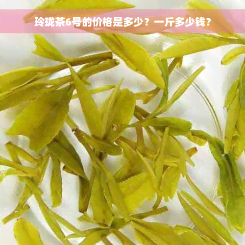 玲珑茶6号的价格是多少？一斤多少钱？