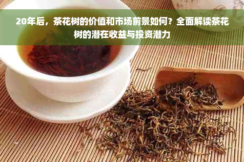 20年后，茶花树的价值和市场前景如何？全面解读茶花树的潜在收益与投资潜力