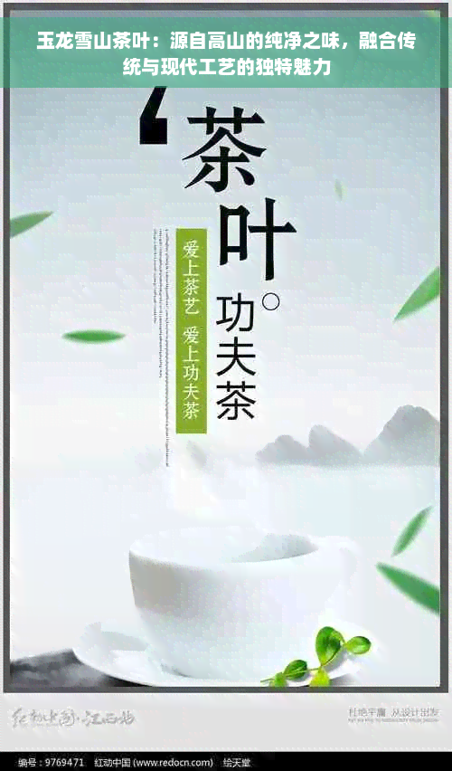 玉龙雪山茶叶：源自高山的纯净之味，融合传统与现代工艺的独特魅力