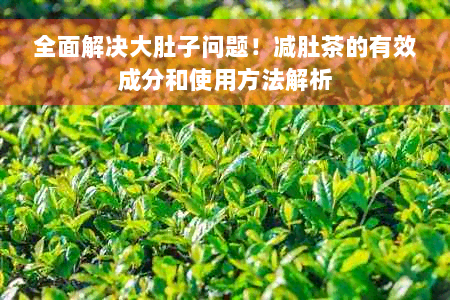 全面解决大肚子问题！减肚茶的有效成分和使用方法解析