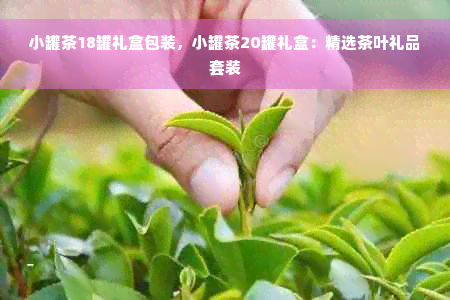 小罐茶18罐礼盒包装，小罐茶20罐礼盒：精选茶叶礼品套装