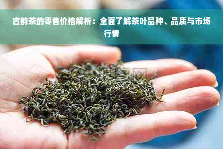 古韵茶的零售价格解析：全面了解茶叶品种、品质与市场行情