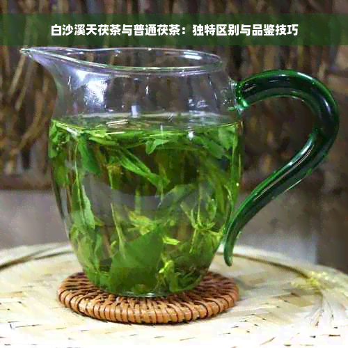 白沙溪天茯茶与普通茯茶：独特区别与品鉴技巧