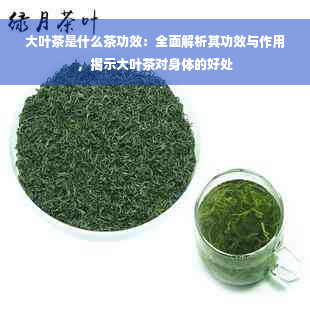 大叶茶是什么茶功效：全面解析其功效与作用，揭示大叶茶对身体的好处