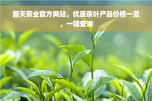 新天茶业官方网站，优质茶叶产品价格一览，一键查询