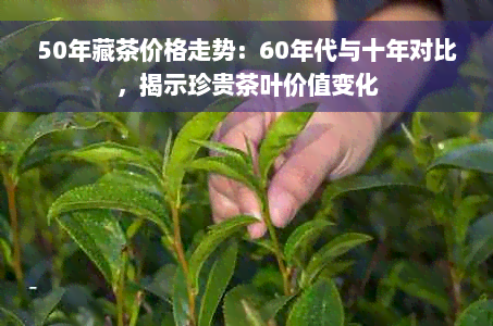 50年藏茶价格走势：60年代与十年对比，揭示珍贵茶叶价值变化