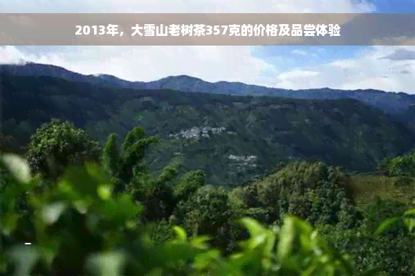 2013年，大雪山老树茶357克的价格及品尝体验