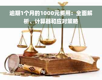 逾期1个月的1000元费用：全面解析、计算器和应对策略