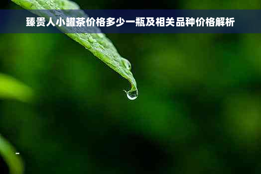 臻贵人小罐茶价格多少一瓶及相关品种价格解析