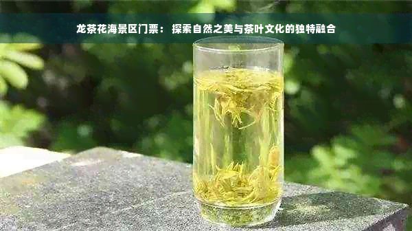 龙茶花海景区门票： 探索自然之美与茶叶文化的独特融合