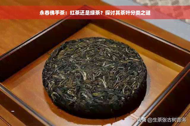 永春佛手茶：红茶还是绿茶？探讨其茶叶分类之谜