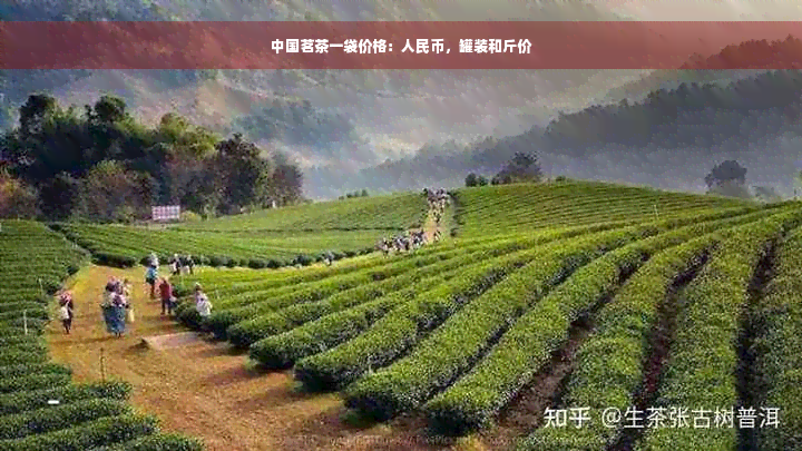 中国茗茶一袋价格：人民币，罐装和斤价