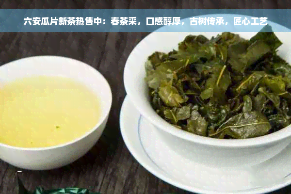 六安瓜片新茶热售中：春茶采，口感醇厚，古树传承，匠心工艺