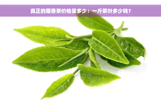 真正的藏香茶价格是多少：一斤茶叶多少钱？