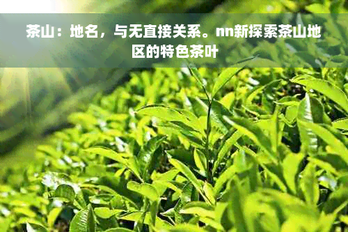 茶山：地名，与无直接关系。nn新探索茶山地区的特色茶叶