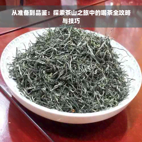 从准备到品鉴：探索茶山之旅中的喝茶全攻略与技巧