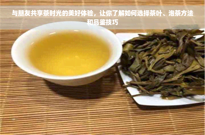 与朋友共享茶时光的美好体验，让你了解如何选择茶叶、泡茶方法和品鉴技巧