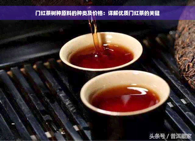 门红茶树种原料的种类及价格：详解优质门红茶的关键