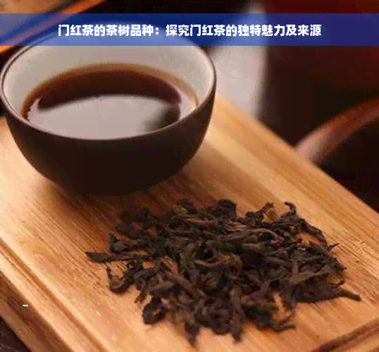 门红茶的茶树品种：探究门红茶的独特魅力及来源