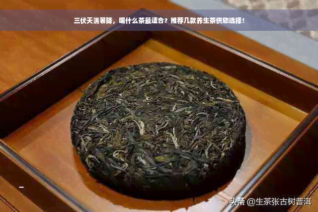 三伏天消暑降，喝什么茶最适合？推荐几款养生茶供您选择！