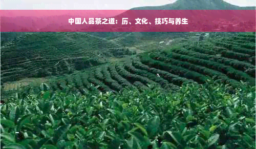 中国人品茶之道：历、文化、技巧与养生