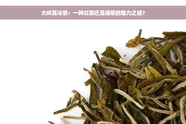 大岭高冷茶：一种红茶还是绿茶的魅力之谜？