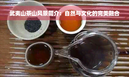 武夷山茶山风景简介：自然与文化的完美融合