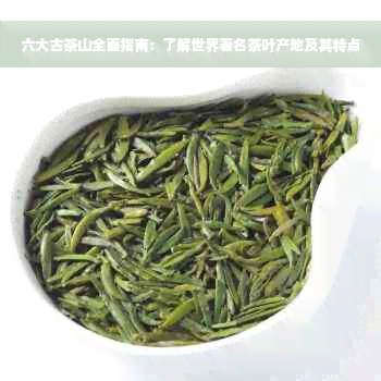 六大古茶山全面指南：了解世界著名茶叶产地及其特点