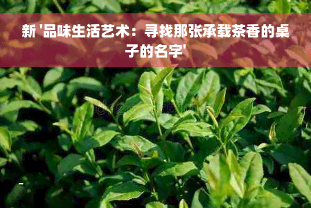 新 '品味生活艺术：寻找那张承载茶香的桌子的名字'