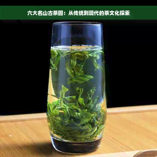 六大名山古茶园：从传统到现代的茶文化探索