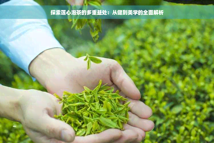 探索莲心泡茶的多重益处：从健到美学的全面解析