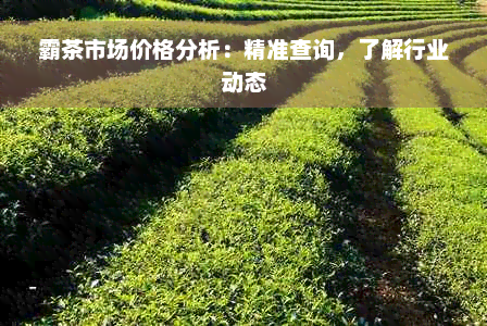 霸茶市场价格分析：精准查询，了解行业动态