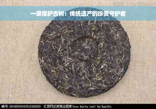 一级保护古树：传统遗产的珍贵守护者