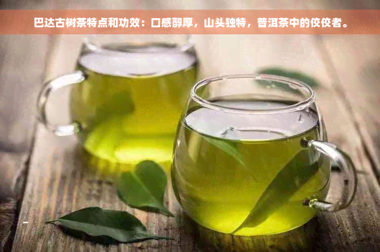 巴达古树茶特点和功效：口感醇厚，山头独特，普洱茶中的佼佼者。