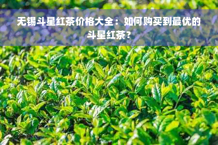 无锡斗星红茶价格大全：如何购买到更优的斗星红茶？