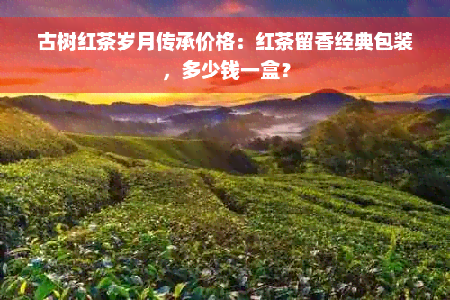 古树红茶岁月传承价格：红茶留香经典包装，多少钱一盒？