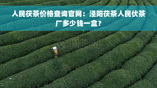 人民茯茶价格查询官网：泾阳茯茶人民伏茶厂多少钱一盒？