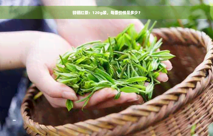 锌硒红茶：120g装，每条价格是多少？