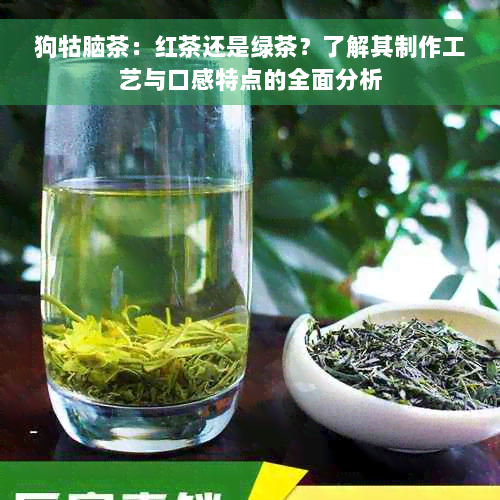 狗牯脑茶：红茶还是绿茶？了解其制作工艺与口感特点的全面分析