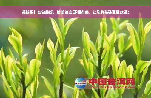 茶砖用什么包装好：精美纸盒 环保布袋，让您的茶砖更受欢迎！