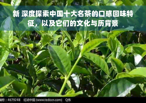 新 深度探索中国十大名茶的口感回味特征，以及它们的文化与历背景