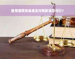 使用借呗资金来支付税款是否可行？