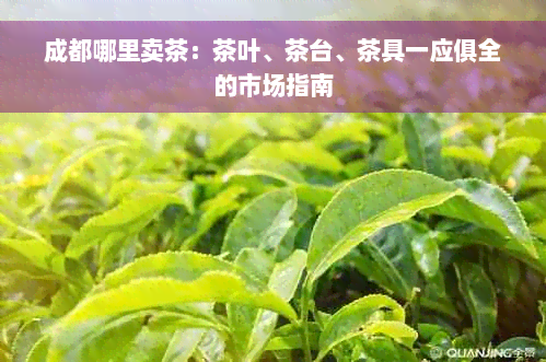 成都哪里卖茶：茶叶、茶台、茶具一应俱全的市场指南